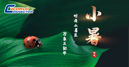 今日小暑|手握清風(fēng)，連接夏夢